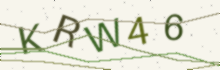 A picture of letters to type (it keeps out spam)